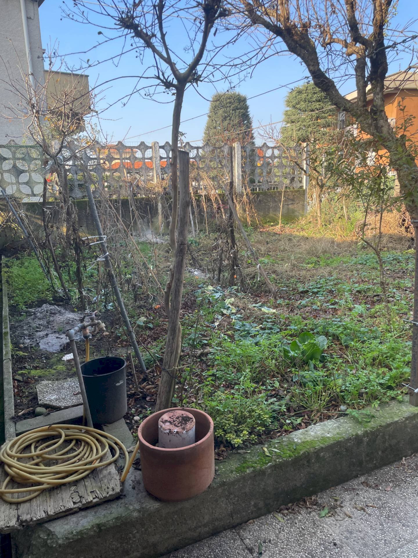 immagine annuncio 7 di 12