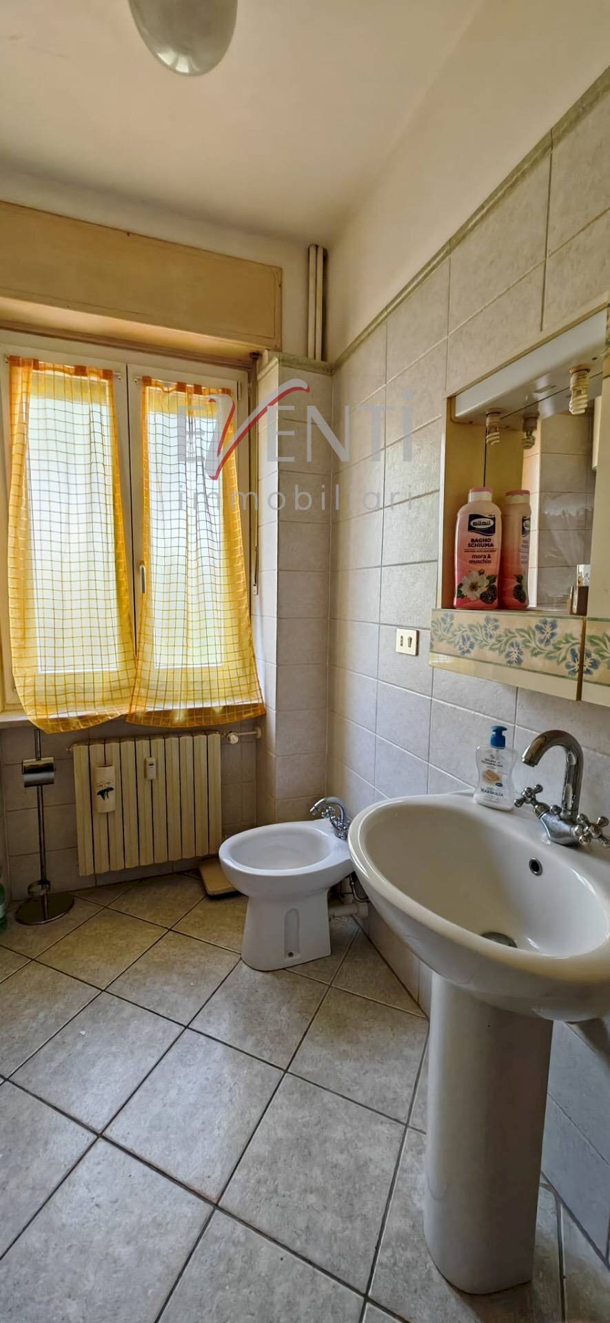 immagine annuncio 9 di 14