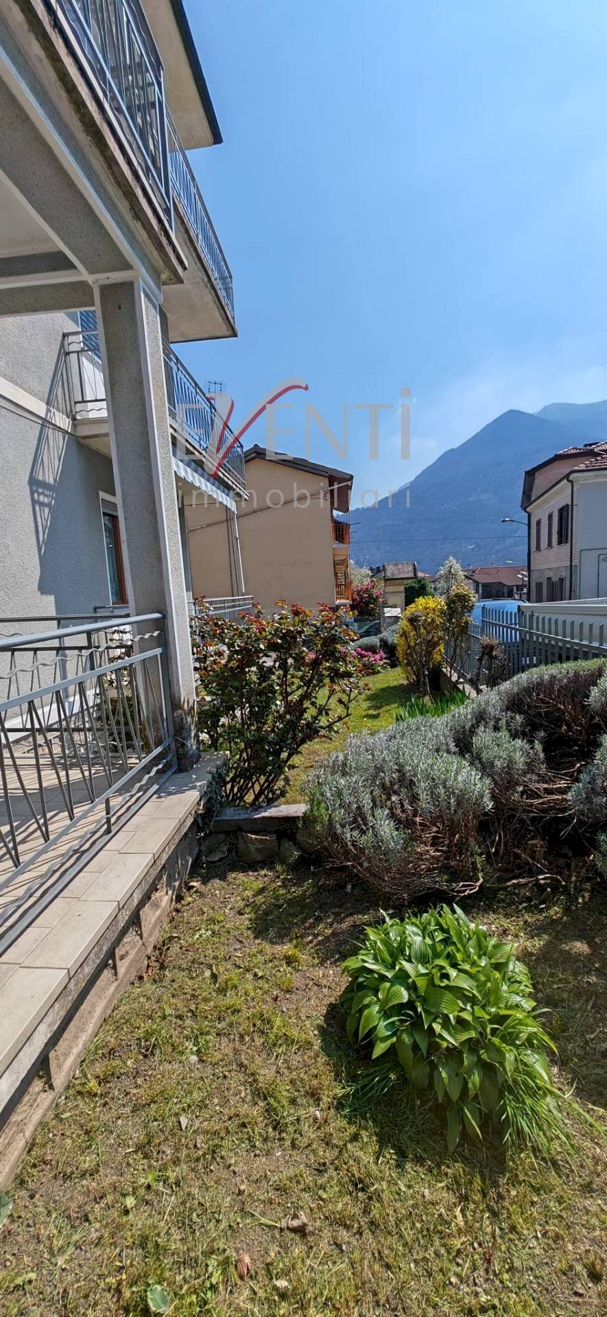 immagine annuncio 12 di 14