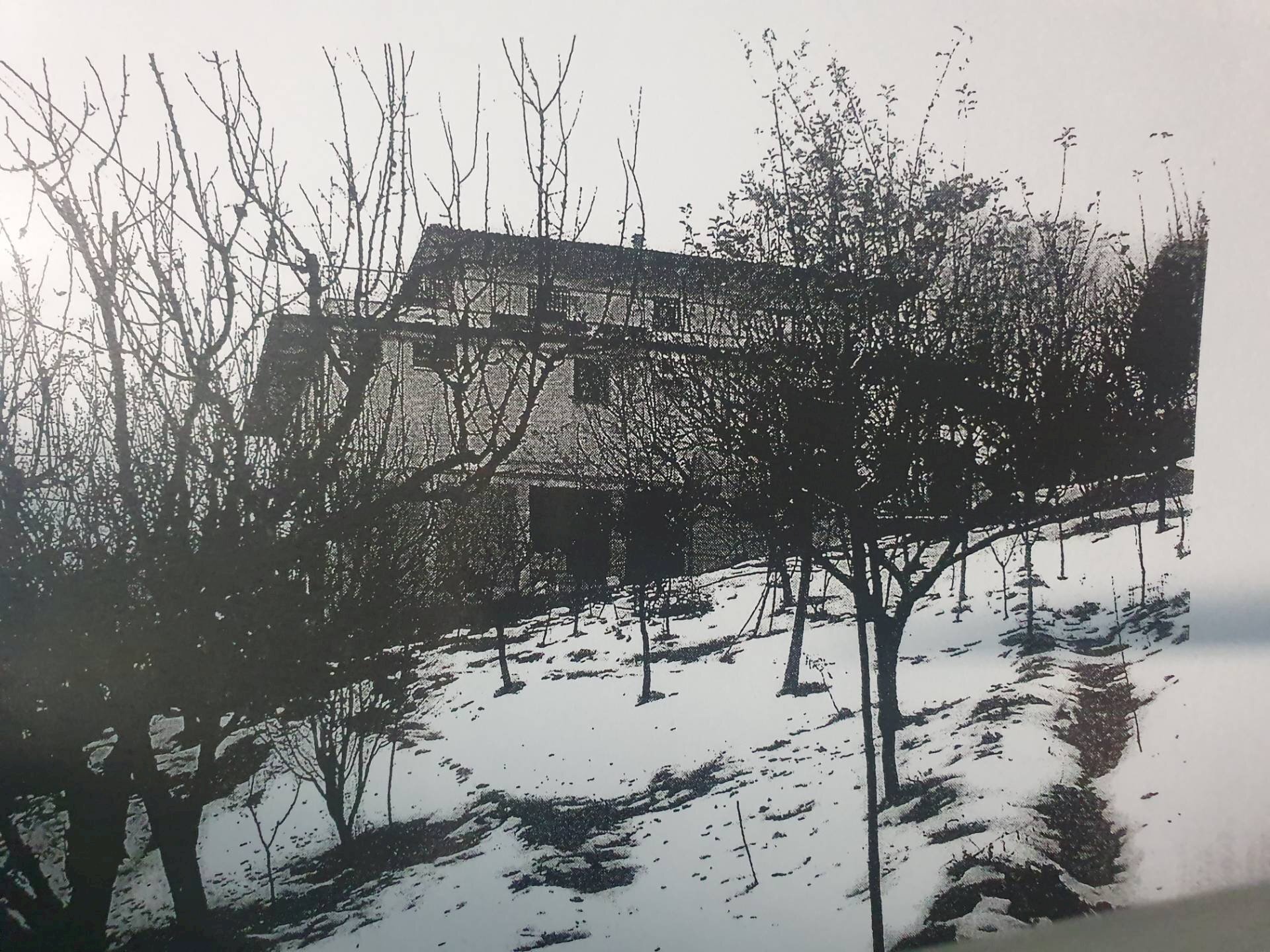 immagine annuncio 1 di 2