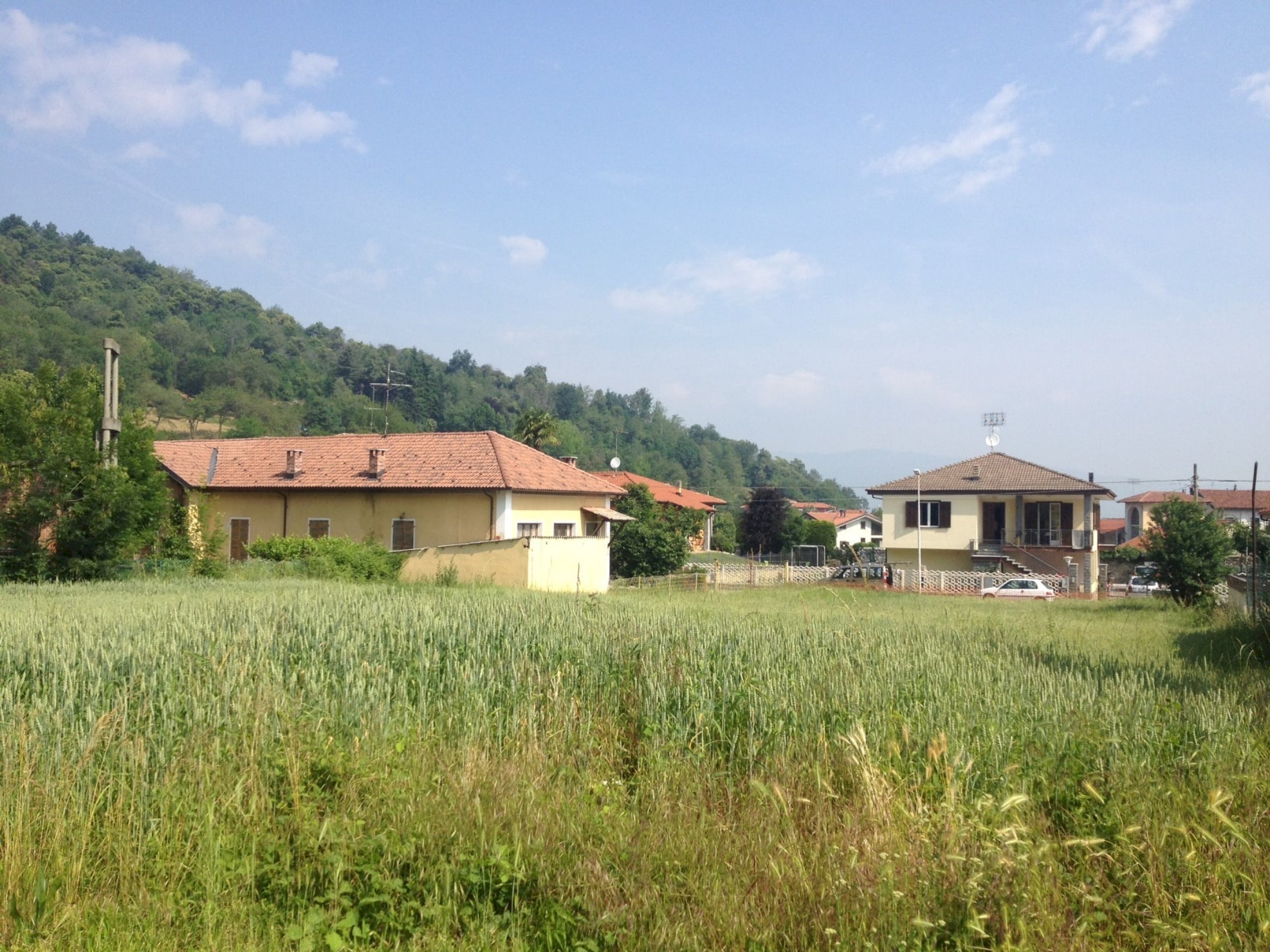 immagine annuncio 9 di 12