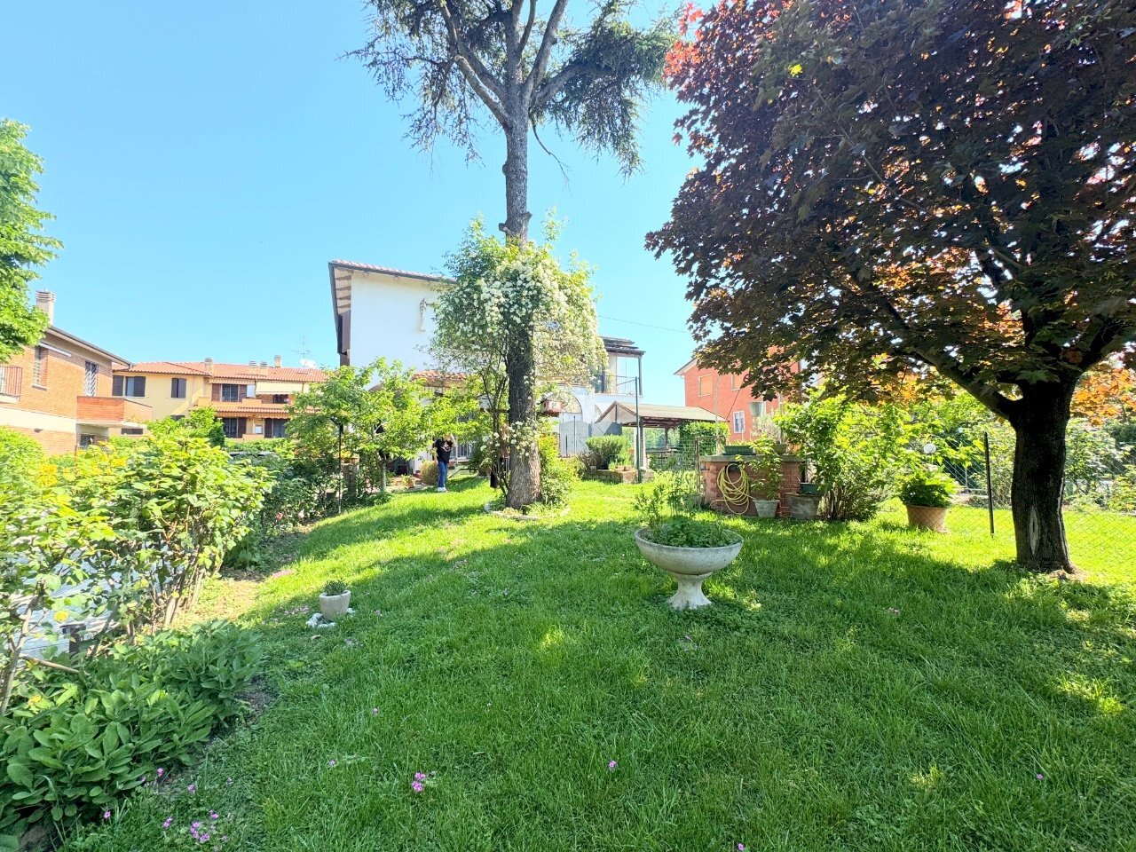 immagine annuncio 5 di 15