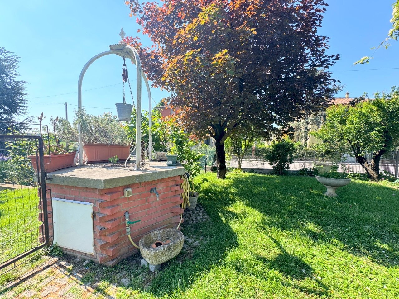 immagine annuncio 11 di 15