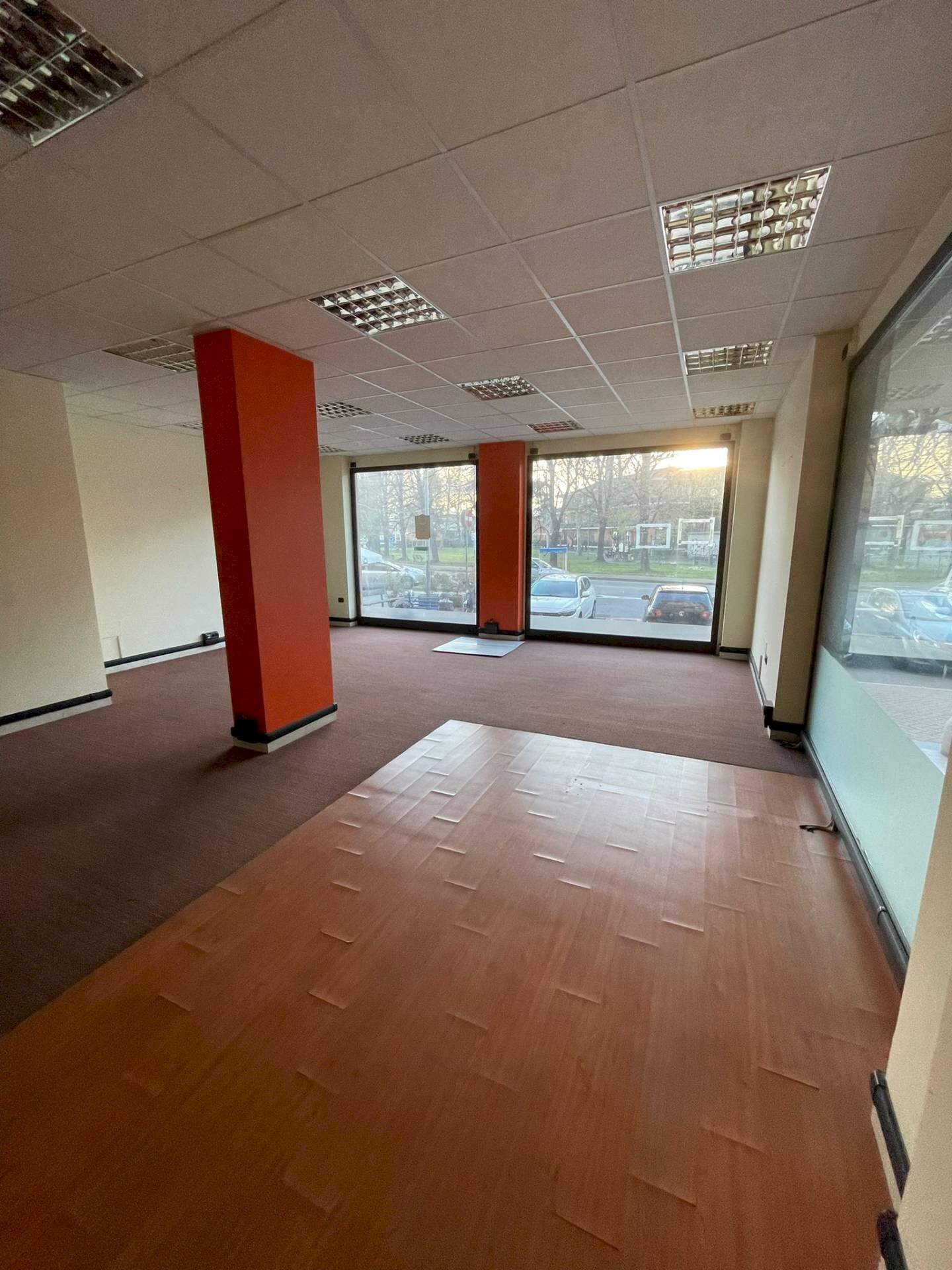 immagine annuncio 1 di 14