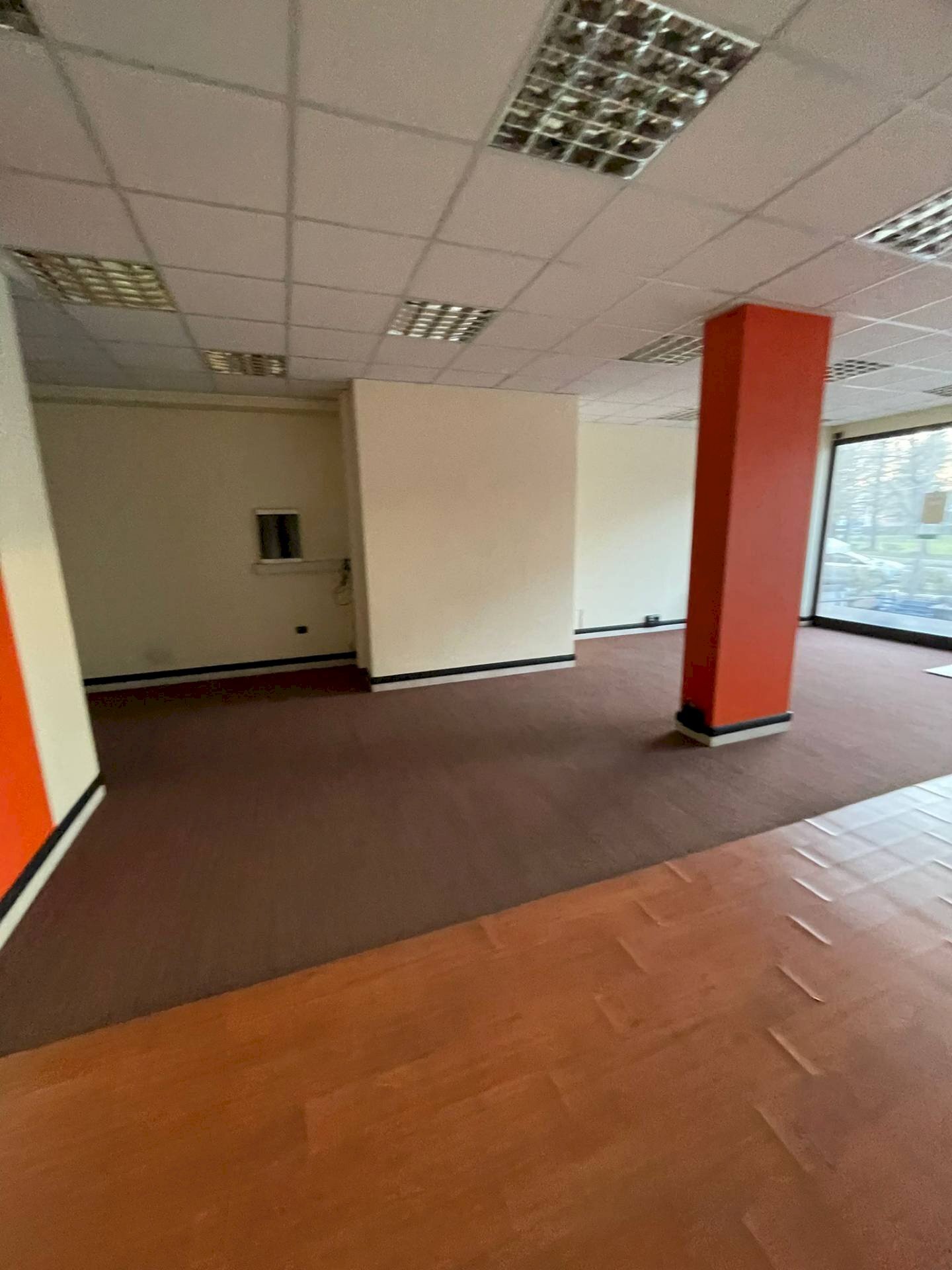 immagine annuncio 6 di 14