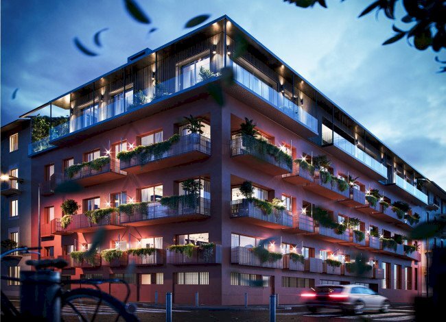 immagine annuncio 12 di 13