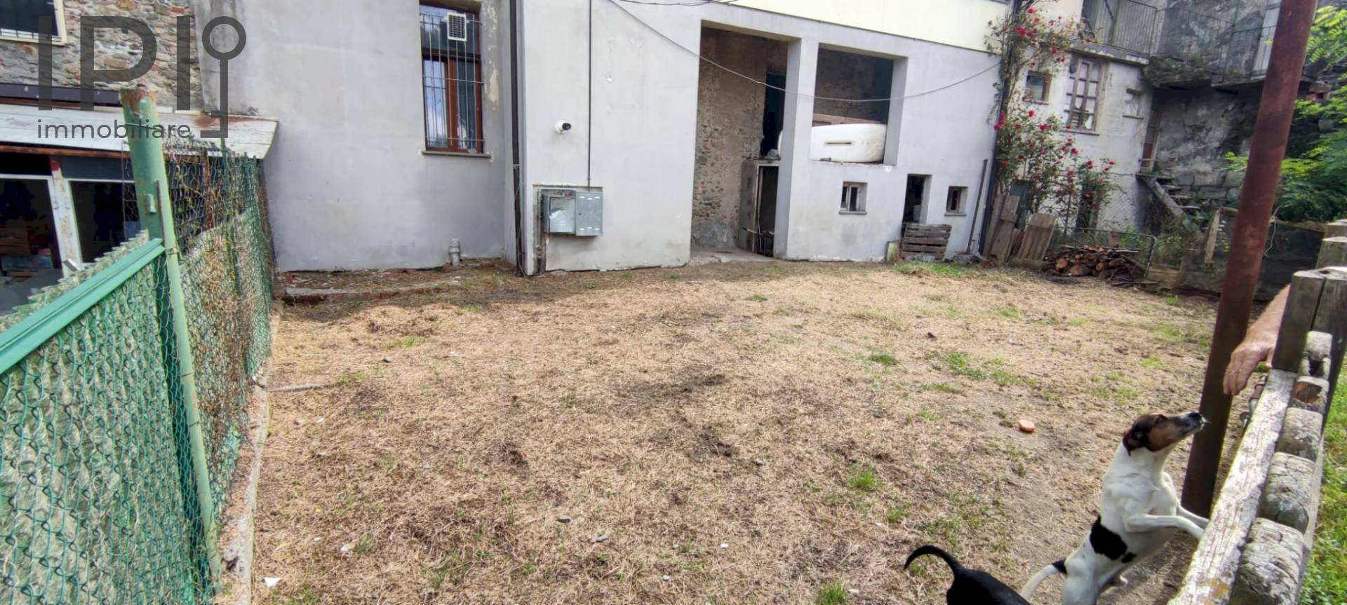 immagine annuncio 3 di 12