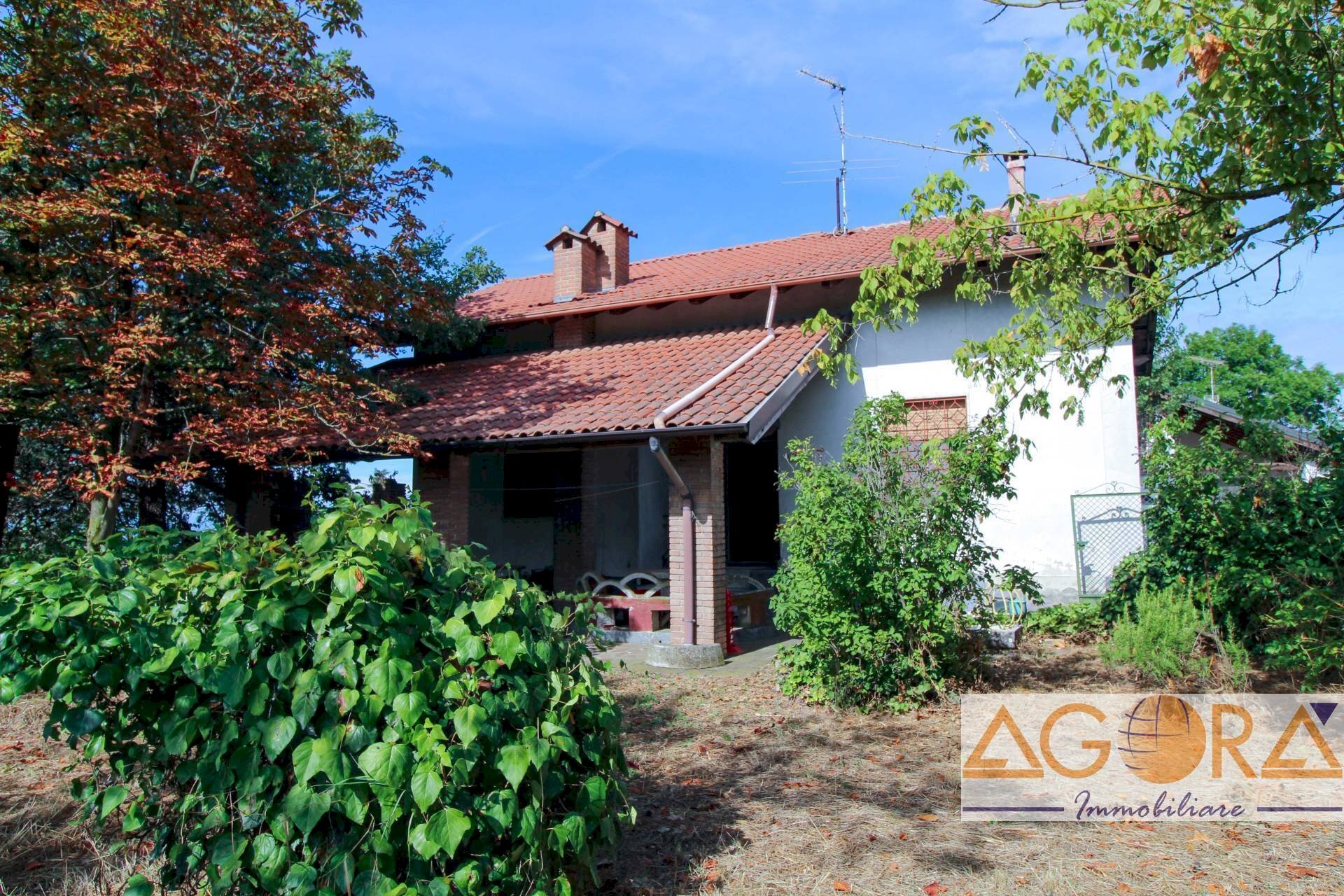 immagine annuncio 1 di 12