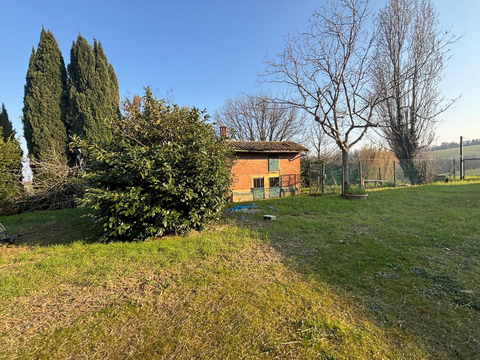 immagine annuncio 5 di 12