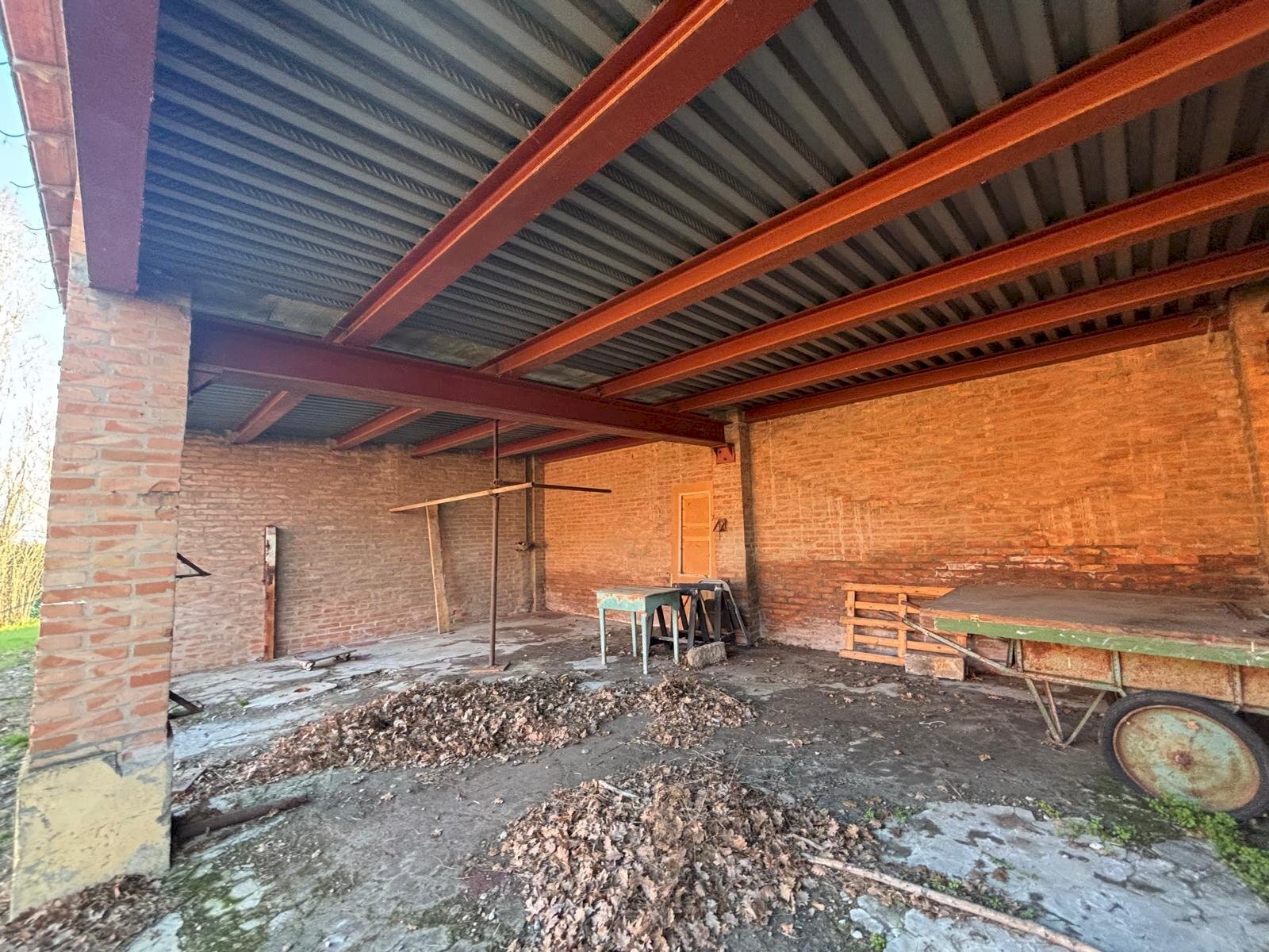 immagine annuncio 7 di 12