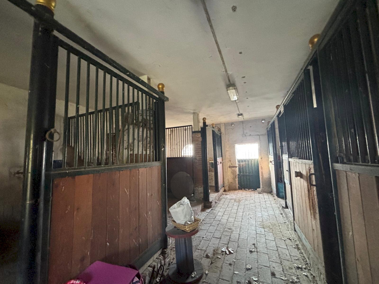 immagine annuncio 9 di 12