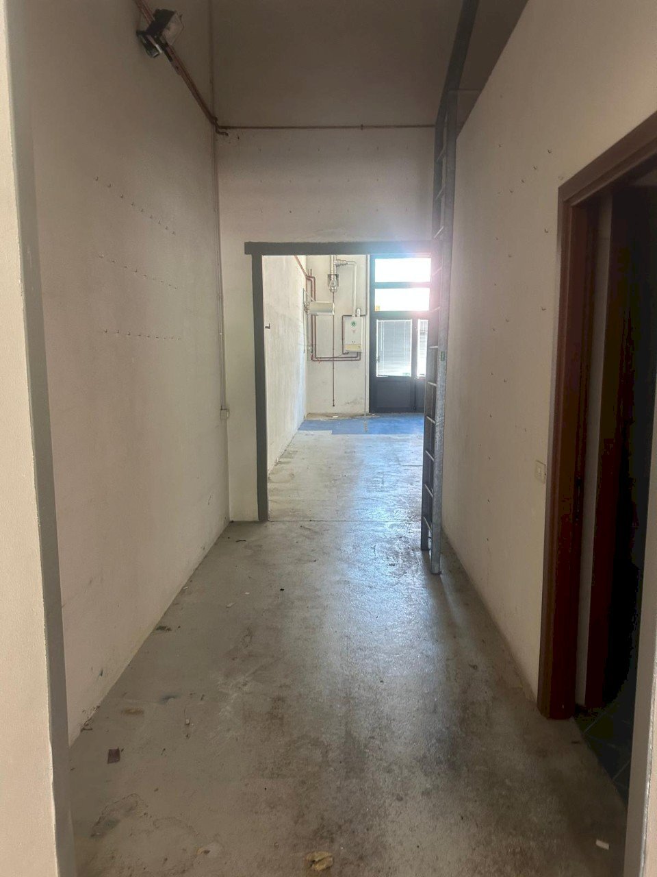 immagine annuncio 2 di 13