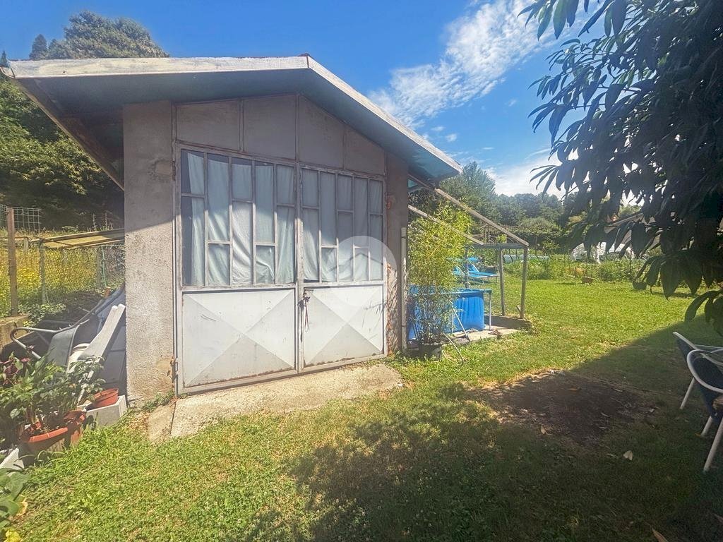 immagine annuncio 1 di 12