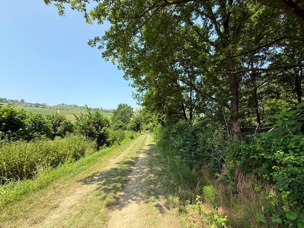 immagine annuncio 5 di 12