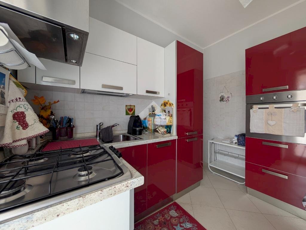 immagine annuncio 11 di 15