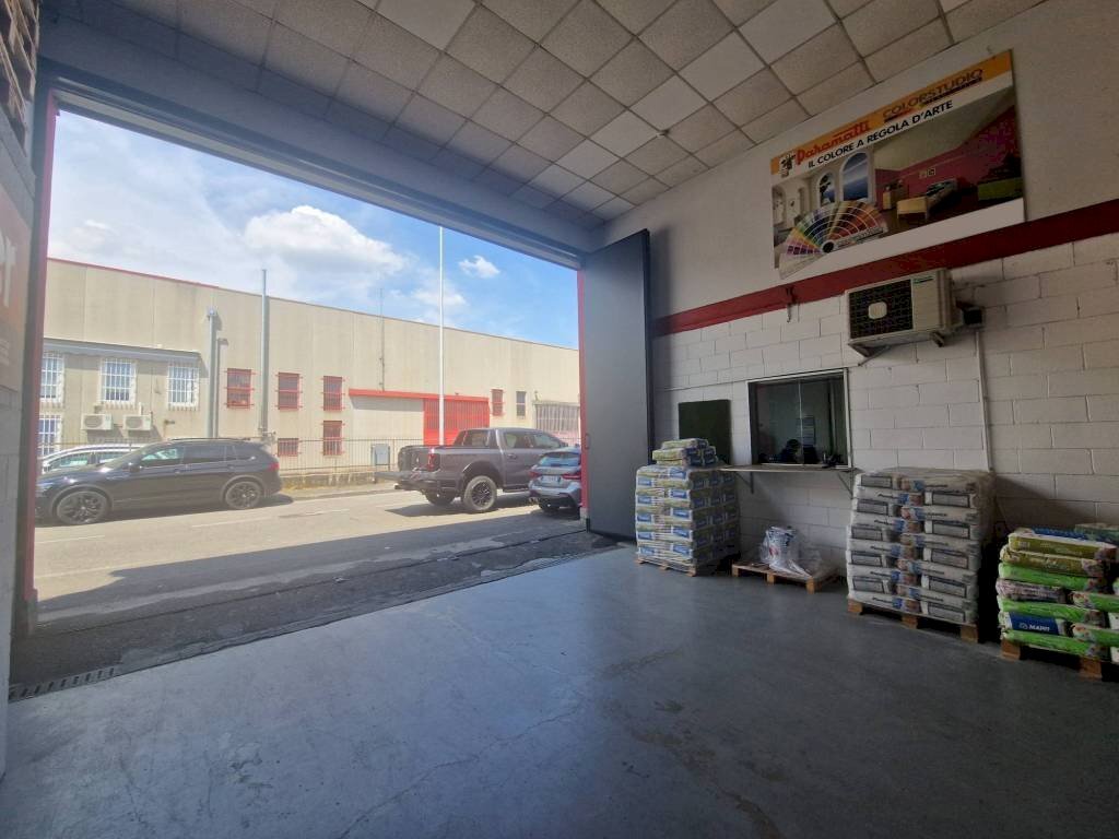 immagine annuncio 6 di 15