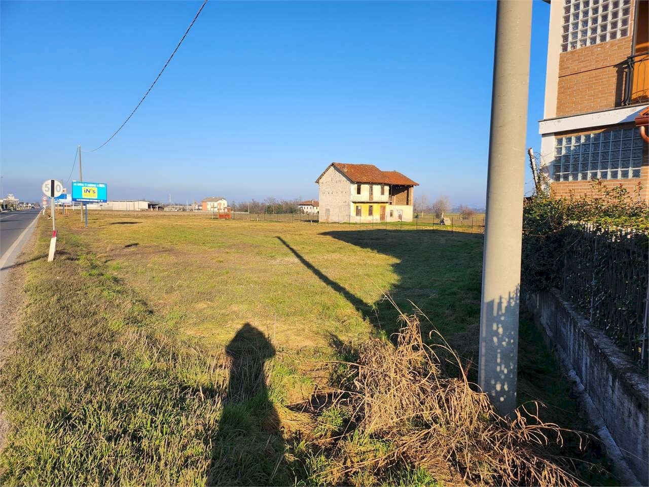 immagine annuncio 5 di 8