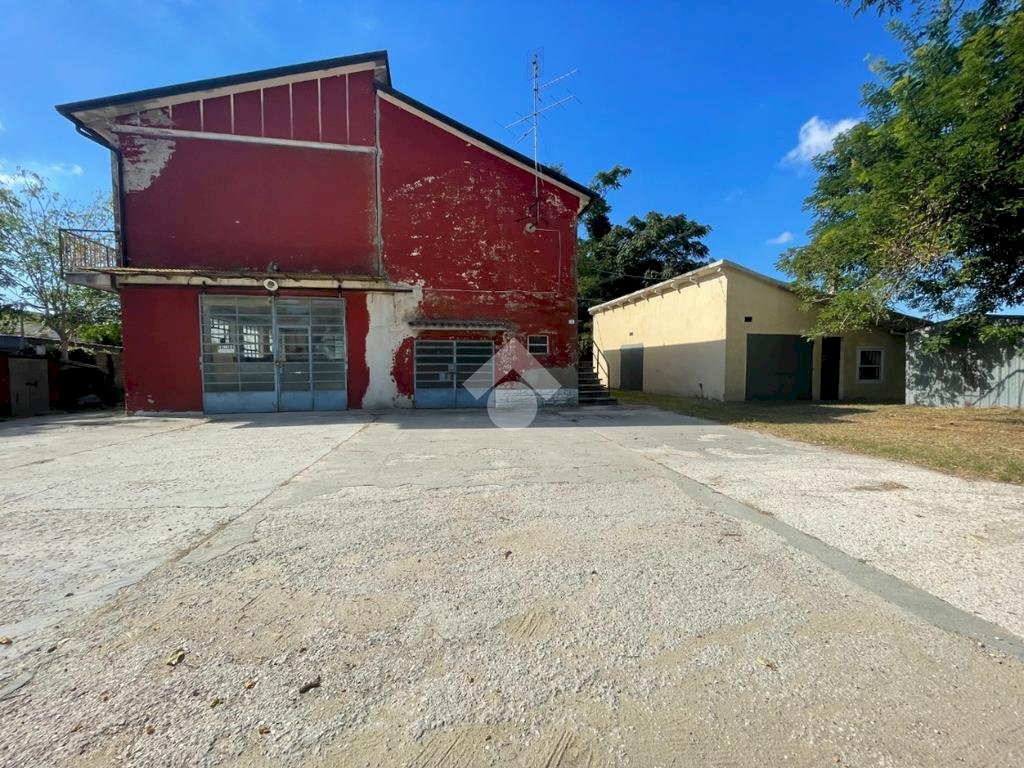 immagine annuncio 2 di 8