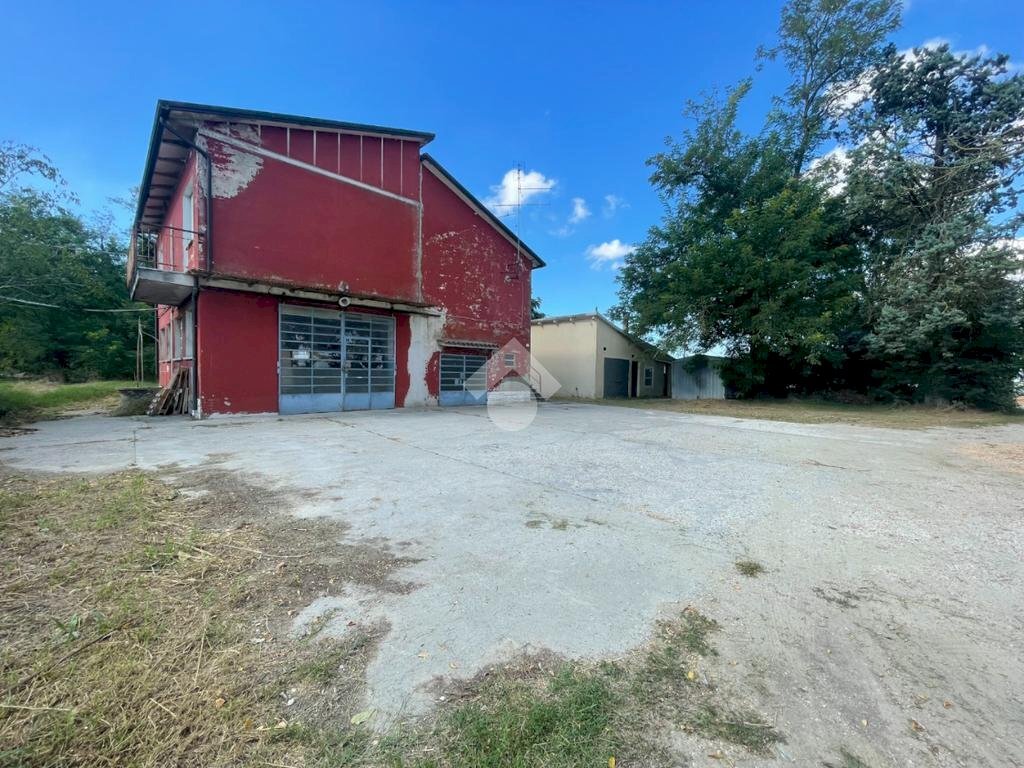 immagine annuncio 3 di 8