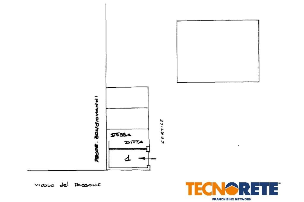 immagine annuncio 12 di 14