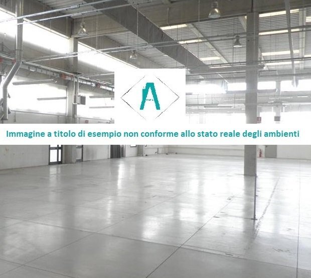 immagine annuncio 2 di 7