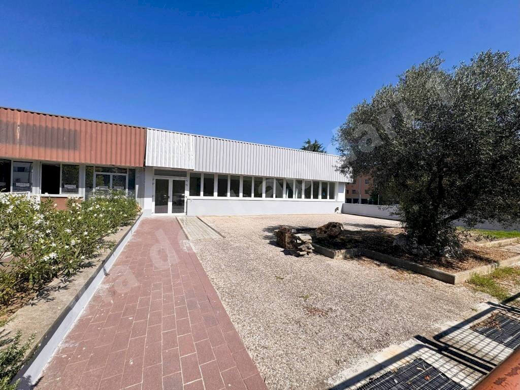 immagine annuncio 2 di 4