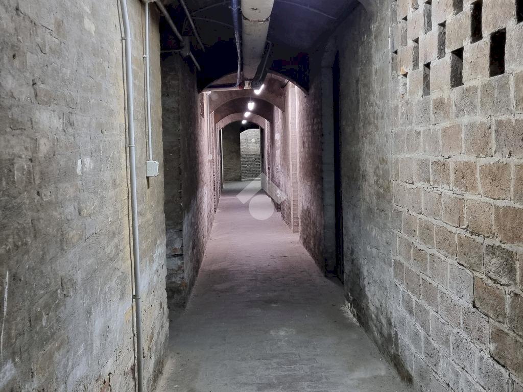 immagine annuncio 6 di 14