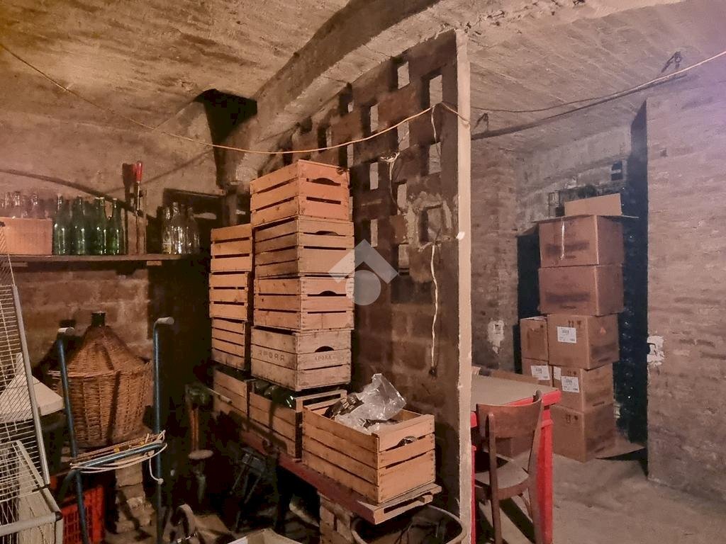 immagine annuncio 7 di 14