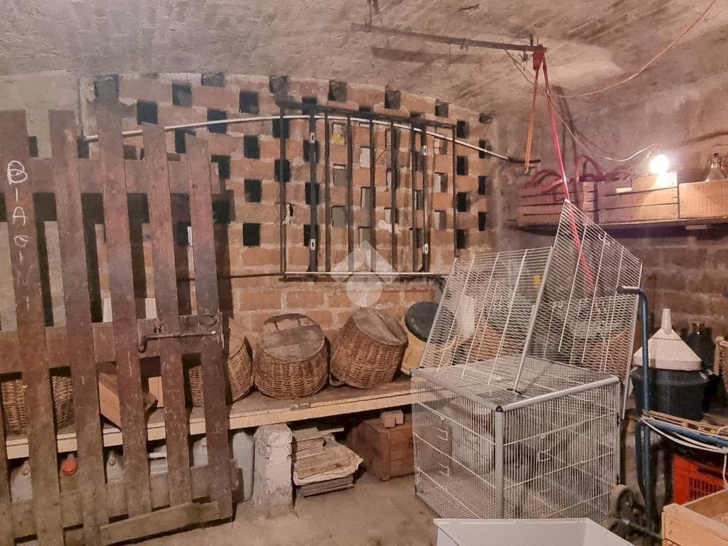 immagine annuncio 9 di 14