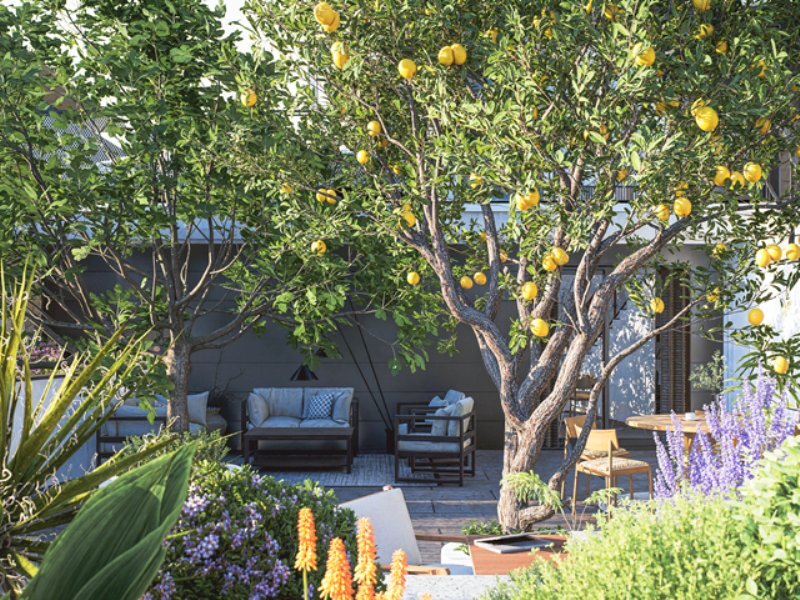 immagine annuncio 5 di 15