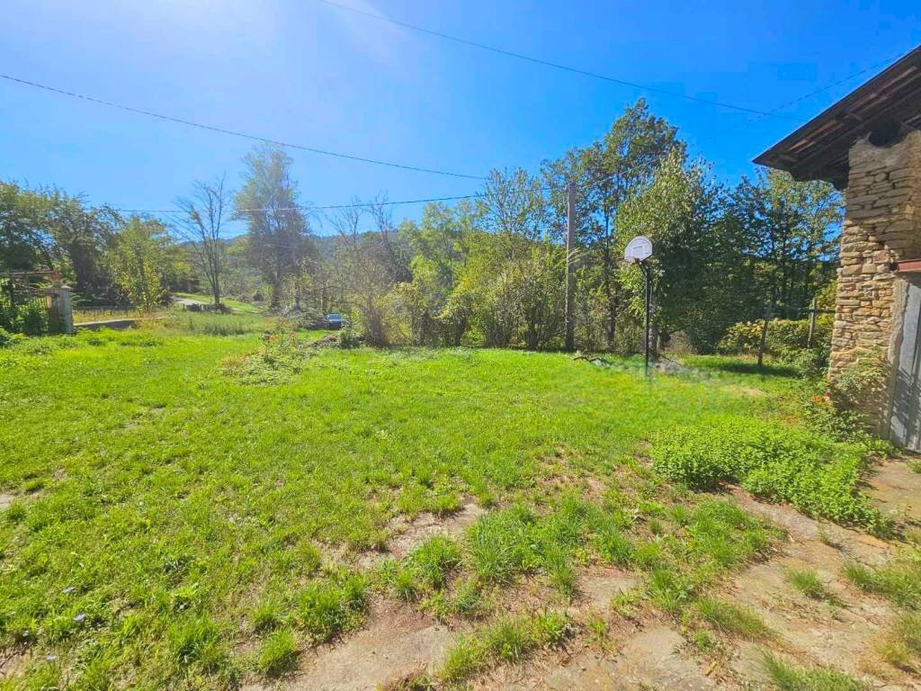 immagine annuncio 5 di 14