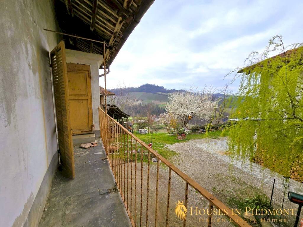 immagine annuncio 6 di 11