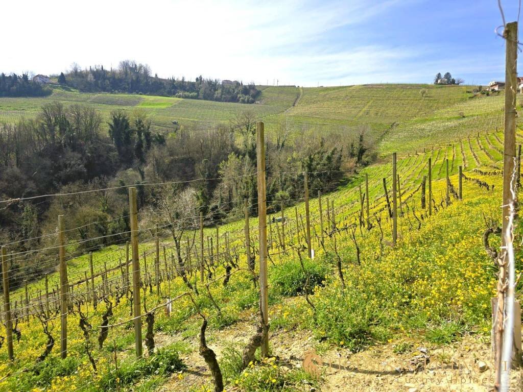 immagine annuncio 9 di 11