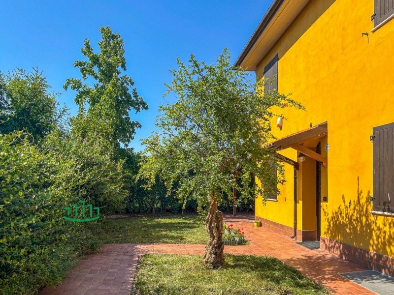 immagine annuncio 6 di 12