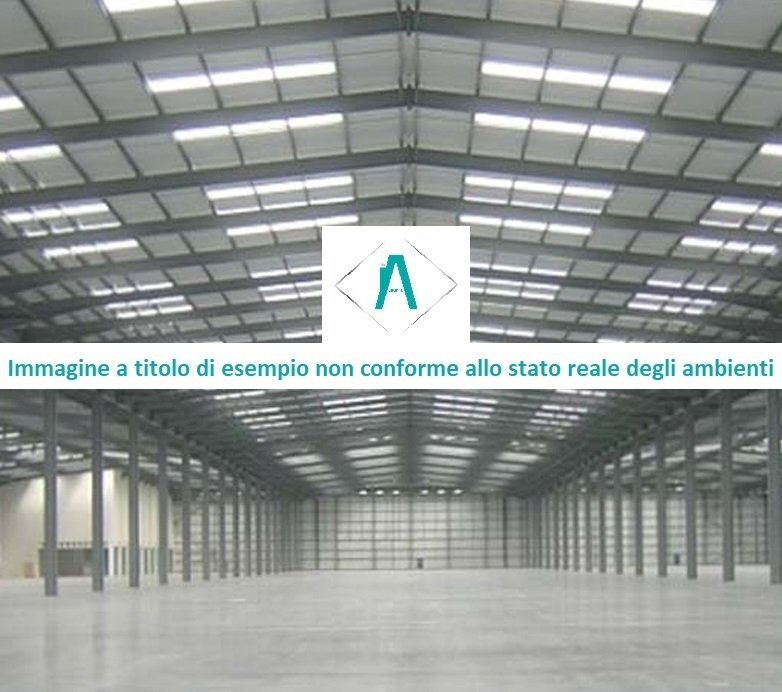 immagine annuncio 1 di 7