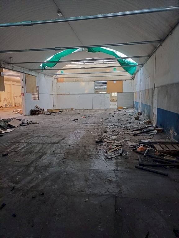 immagine annuncio 2 di 14