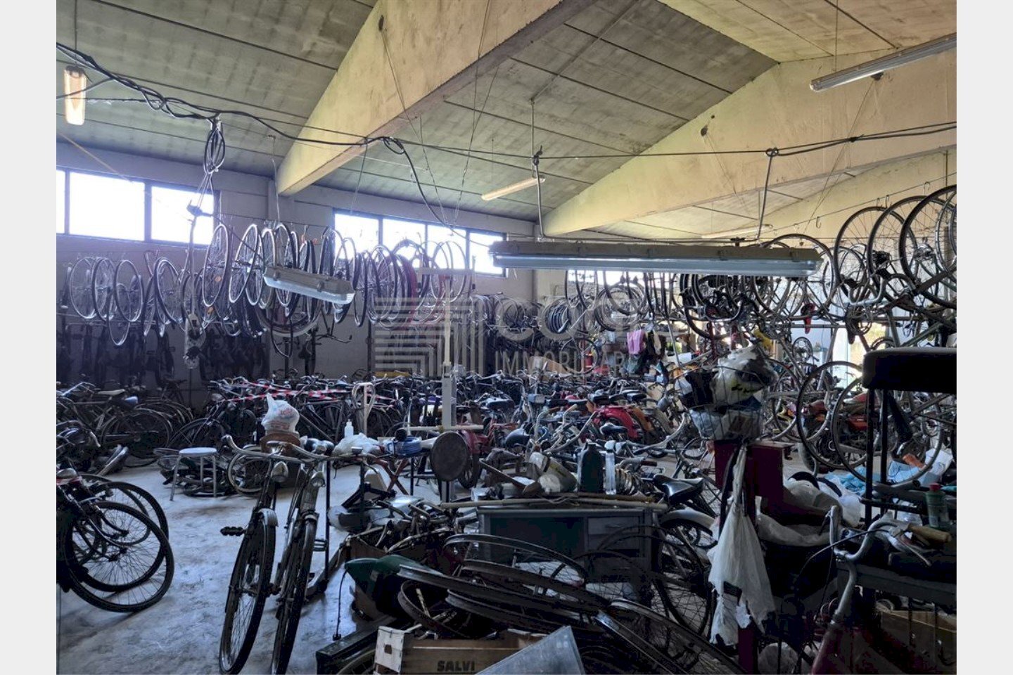 immagine annuncio 8 di 13