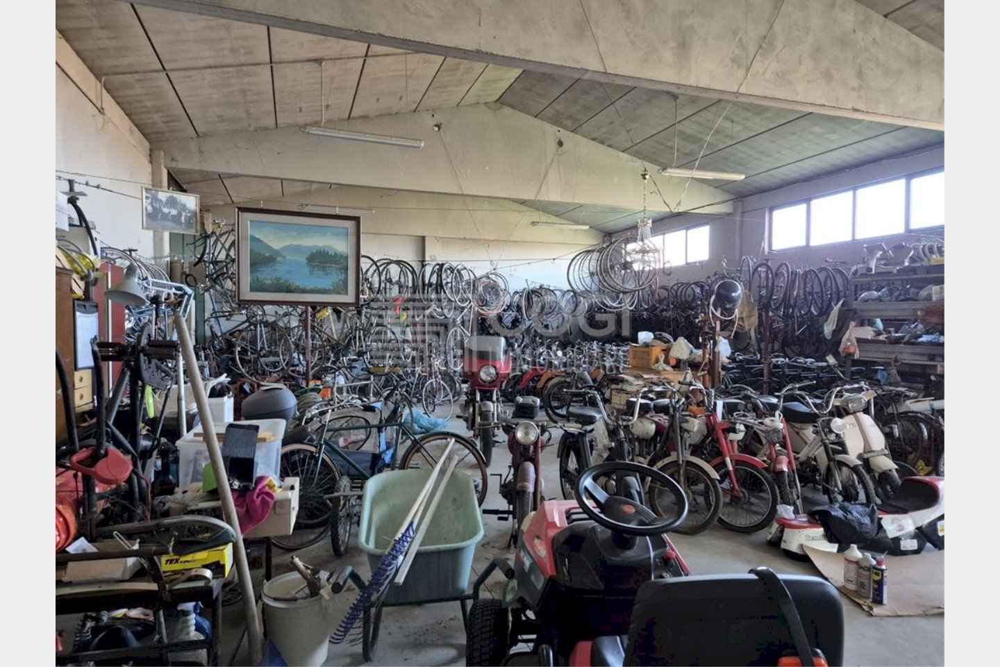 immagine annuncio 10 di 13