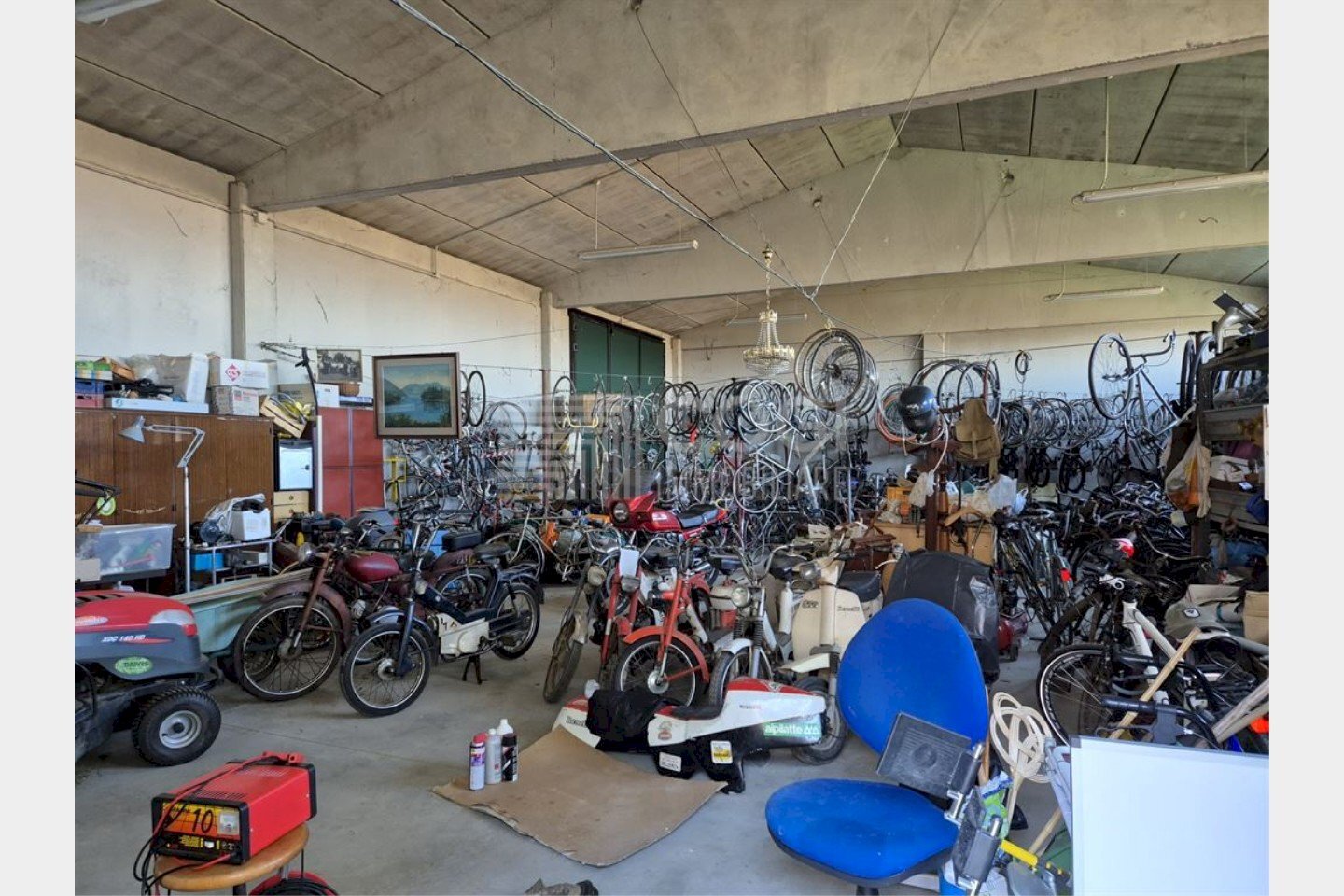 immagine annuncio 11 di 13