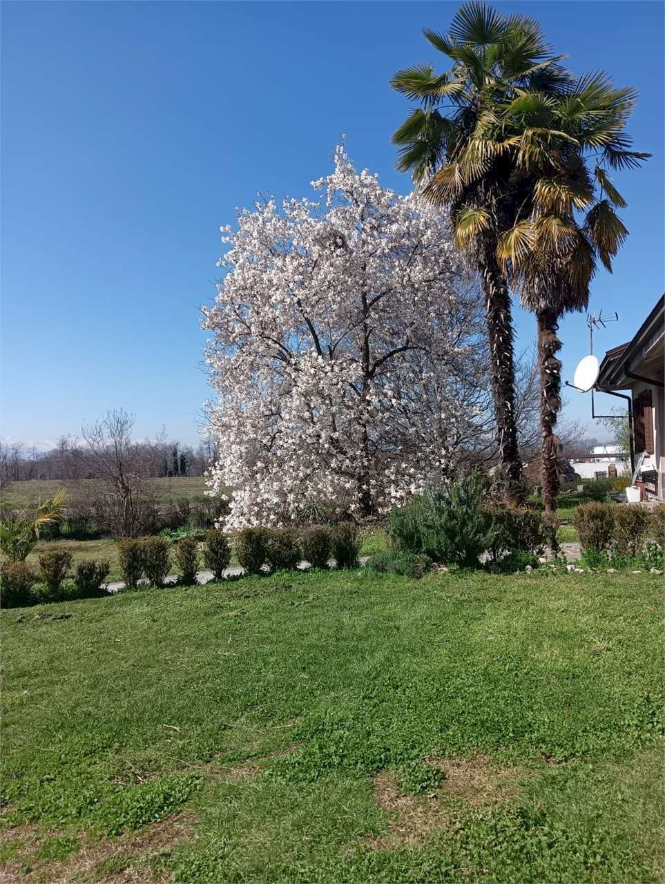 immagine annuncio 11 di 14