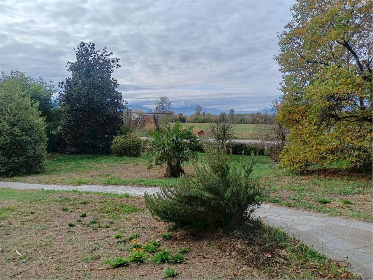 immagine annuncio 12 di 14