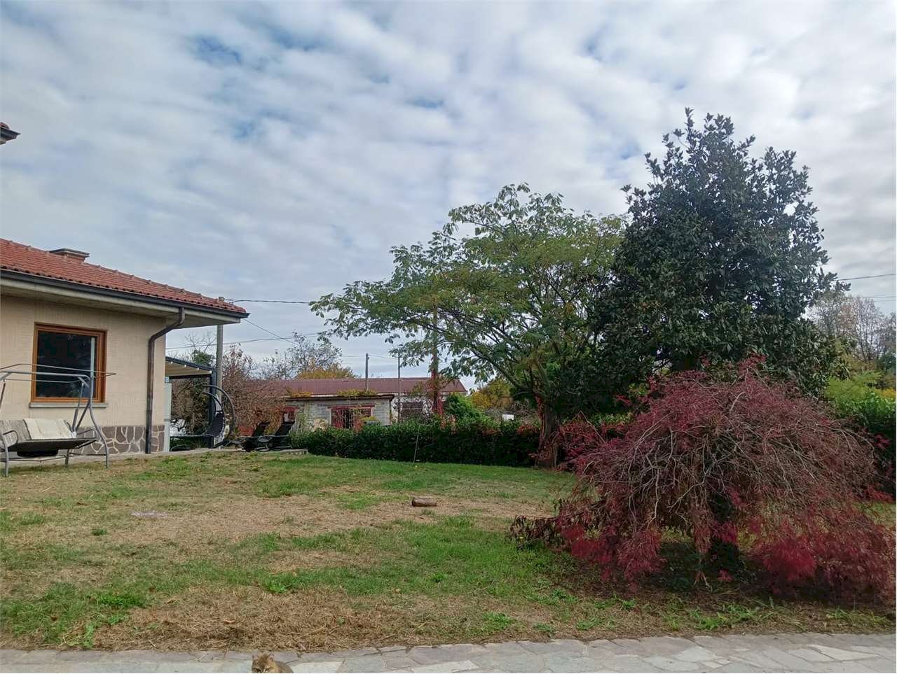 immagine annuncio 13 di 14