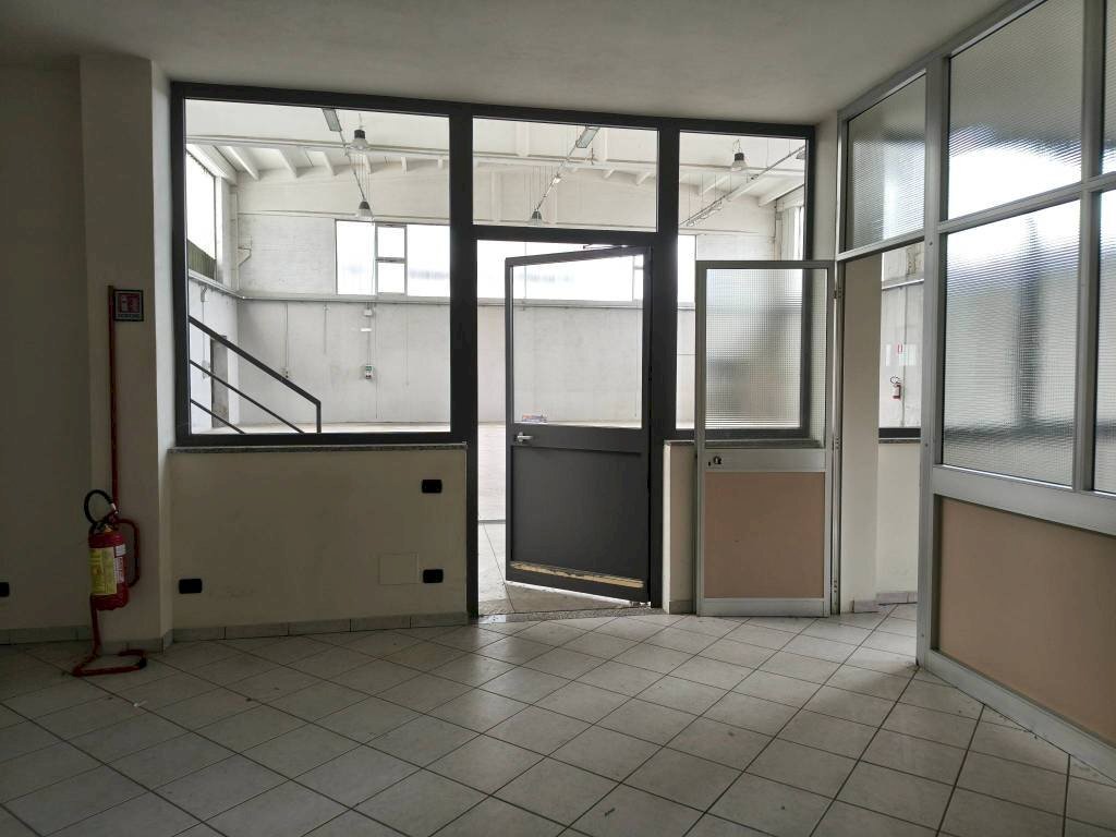 immagine annuncio 1 di 14