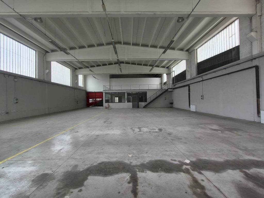 immagine annuncio 11 di 14