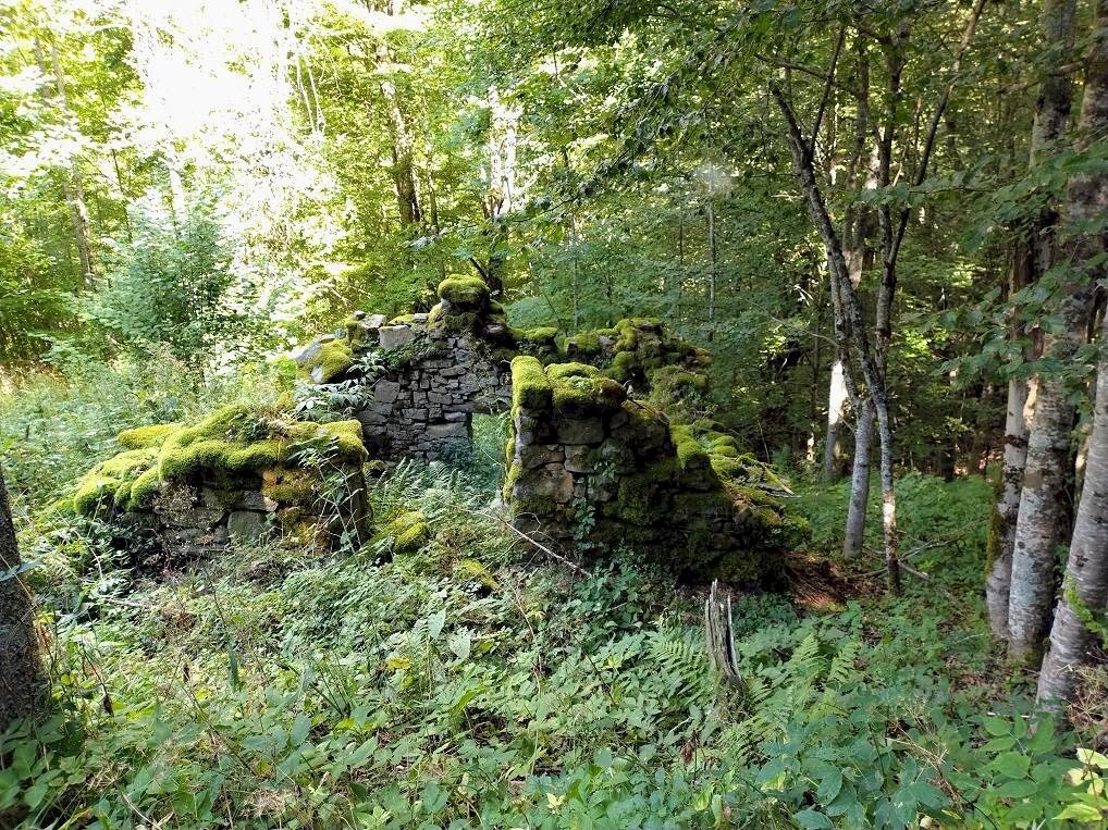 immagine annuncio 2 di 4