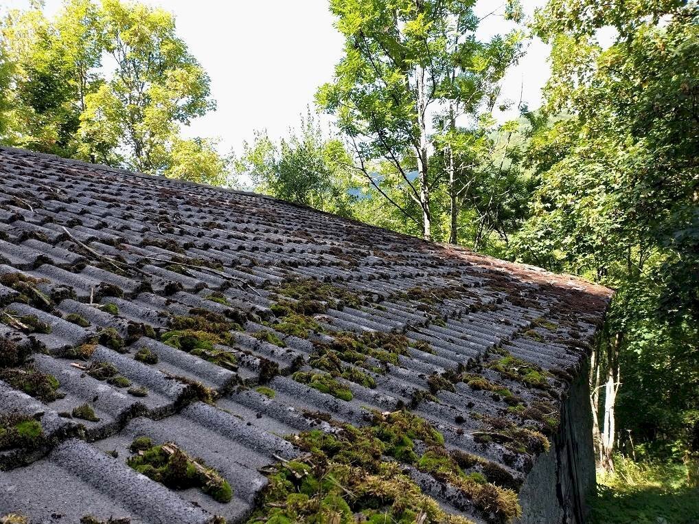 immagine annuncio 3 di 4