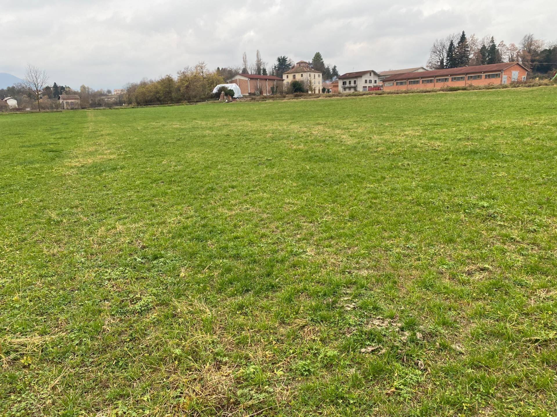 immagine annuncio 4 di 8