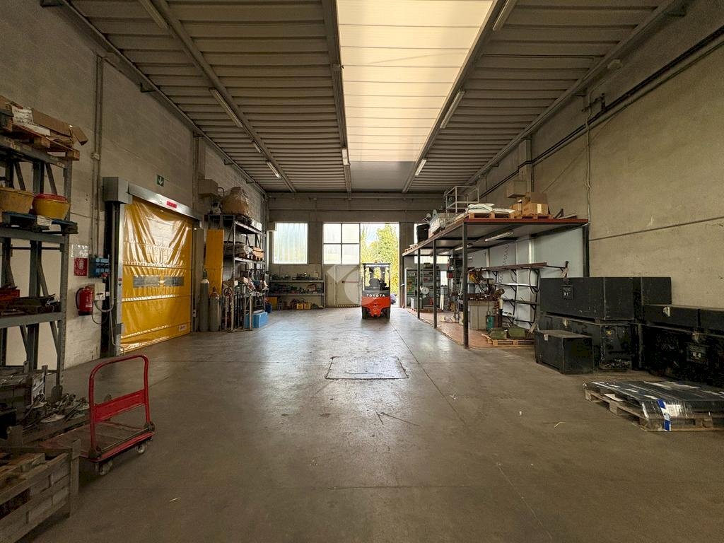 immagine annuncio 5 di 15