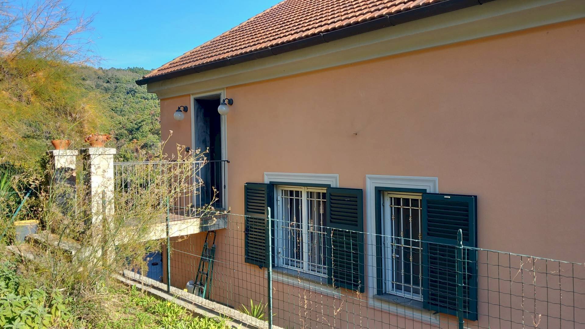 immagine annuncio 2 di 9