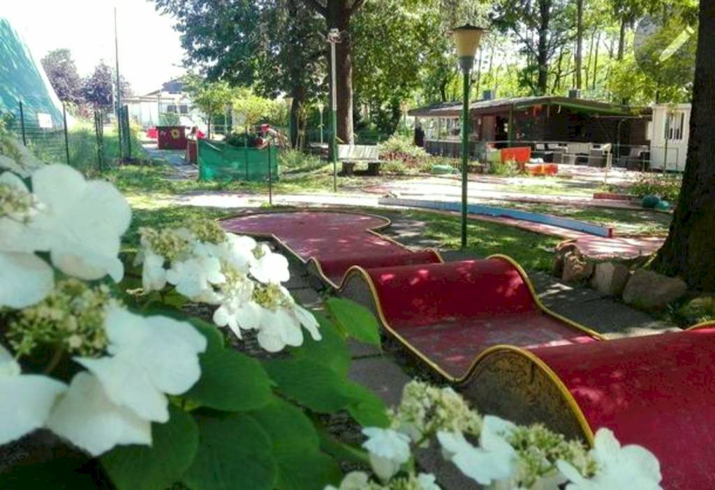 immagine annuncio 2 di 13